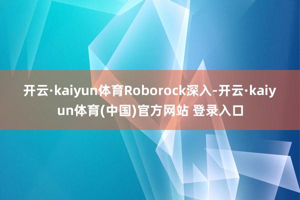 开云·kaiyun体育Roborock深入-开云·kaiyun体育(中国)官方网站 登录入口