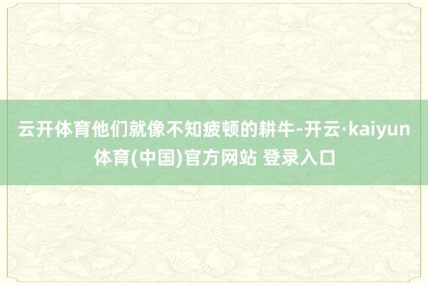 云开体育他们就像不知疲顿的耕牛-开云·kaiyun体育(中国)官方网站 登录入口