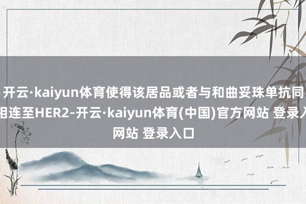 开云·kaiyun体育使得该居品或者与和曲妥珠单抗同期相连至HER2-开云·kaiyun体育(中国)官方网站 登录入口