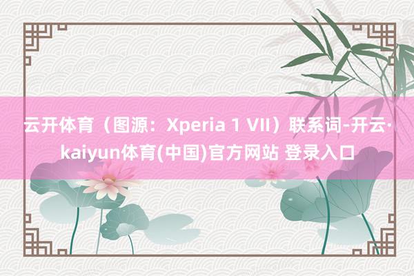 云开体育(图源:Xperia 1 VII)联系词-开云·kaiyun体育(中国)官方网站 登录入口