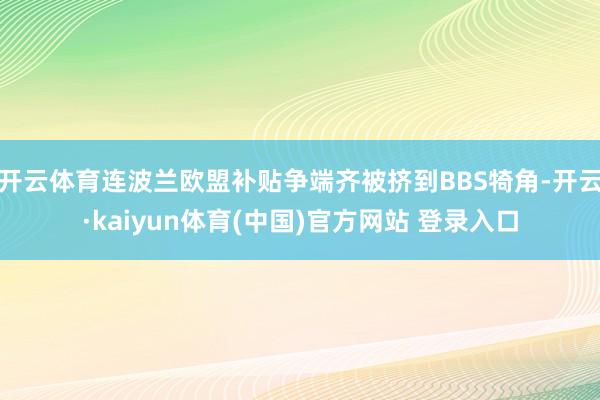 开云体育连波兰欧盟补贴争端齐被挤到BBS犄角-开云·kaiyun体育(中国)官方网站 登录入口