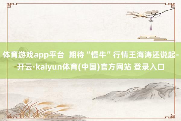 体育游戏app平台 期待“慢牛”行情王海涛还说起-开云·kaiyun体育(中国)官方网站 登录入口