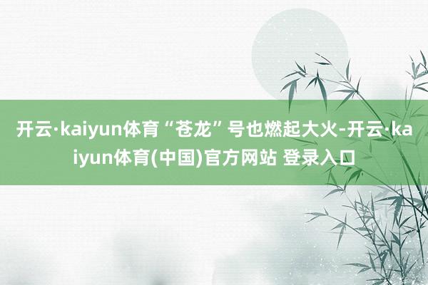 开云·kaiyun体育“苍龙”号也燃起大火-开云·kaiyun体育(中国)官方网站 登录入口