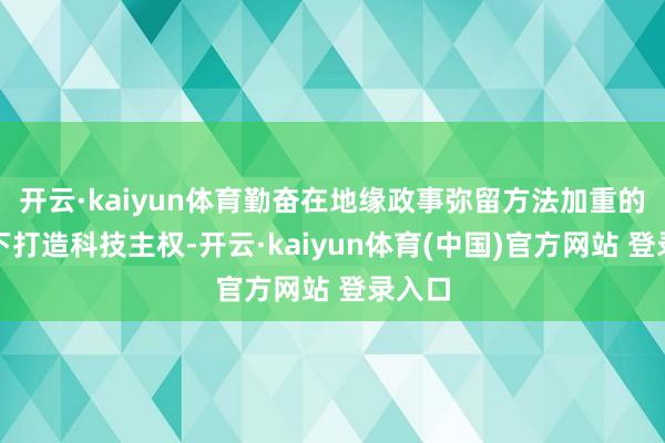 开云·kaiyun体育勤奋在地缘政事弥留方法加重的配景下打造科技主权-开云·kaiyun体育(中国)官方网站 登录入口